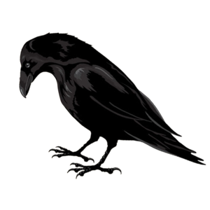 Raven PNG-71472